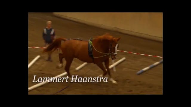 Basic Training in Lunging | Lammert H...