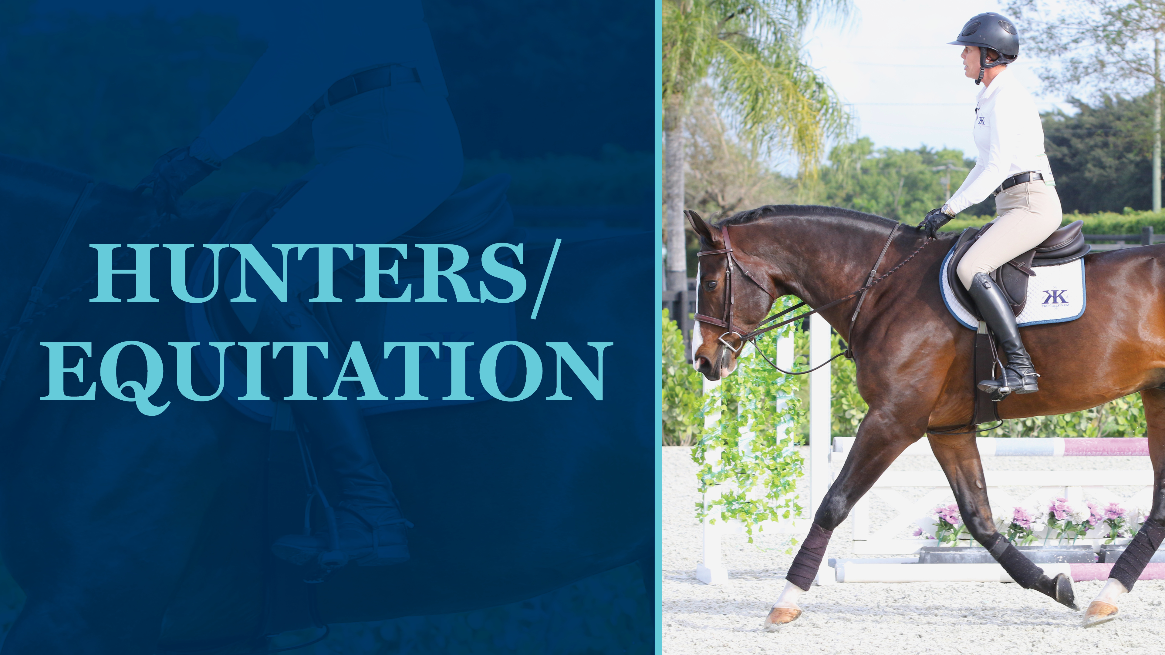 Hunters/Equitation Equestrian+