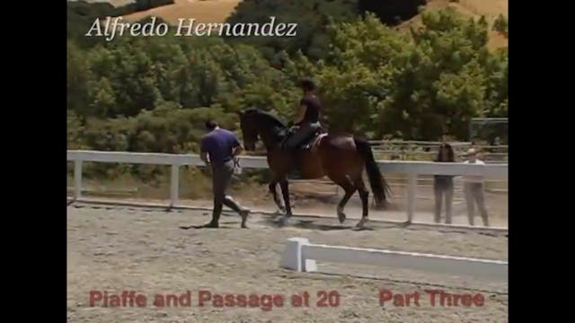 Piaffe and Passage at Age 20 | Alfred...