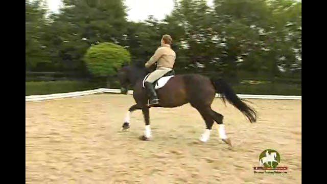 Canter pirouettes and half steps with...