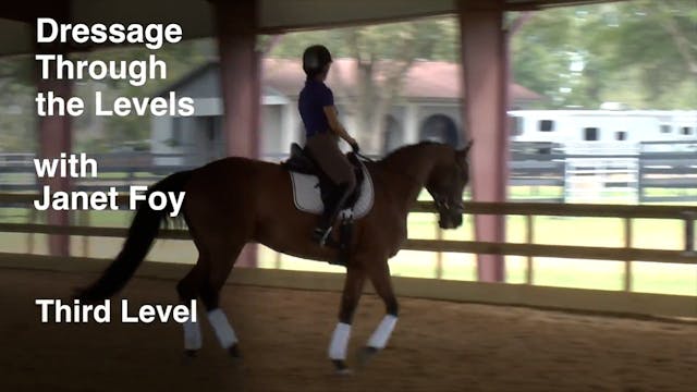 Dressage Through the Levels 2017 - Th...