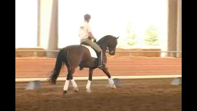 Succeed/USDF FEI Level Trainer's Conf...