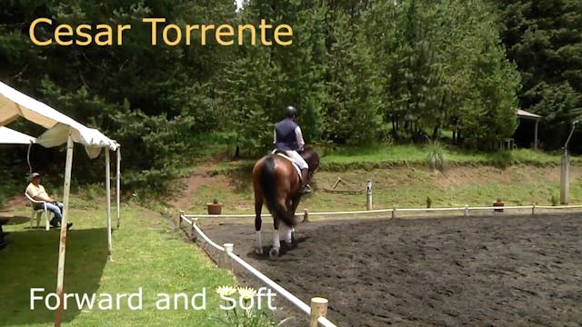 Forward and Soft | Cesar Torrente | P...