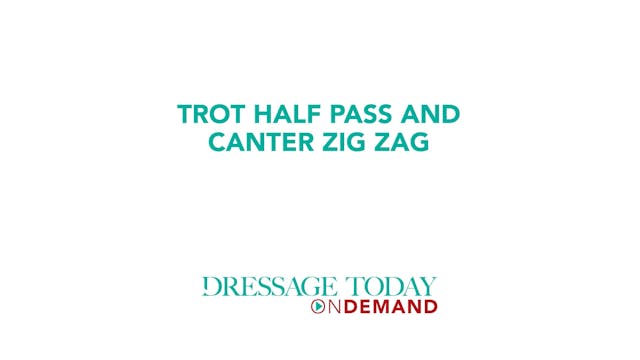 Trot Half Pass and Canter Zig Zag