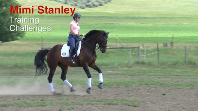 Training Challenges | Mimi Stanley | ...