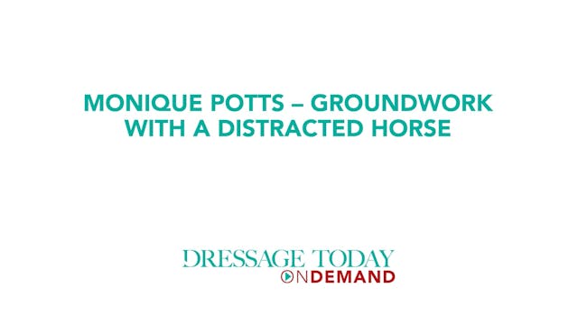 Groundwork with a Distracted Horse