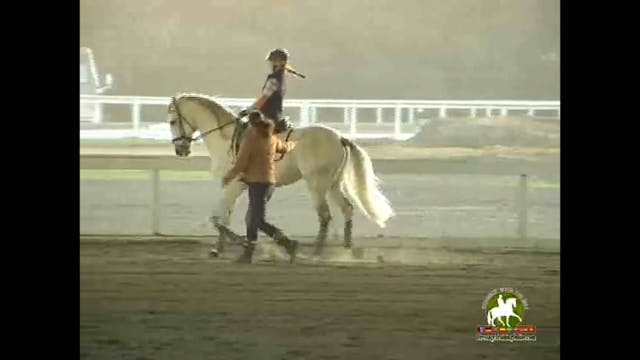 Getting the horse lighter in the cont...