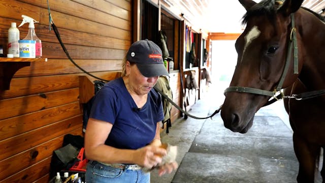 Green Rider on Upper Level School Hor...