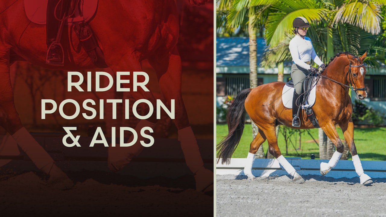 Rider Position and Aids