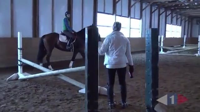 Stadium Exercises For Green Horses | ...