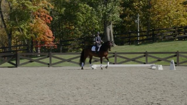 Schooling Walk Pirouettes