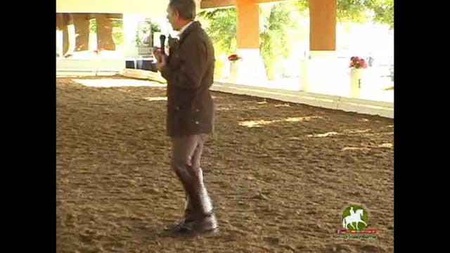 Keeping the horse active behind, but ...