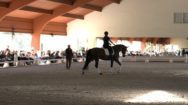 USDF FEI-Level Trainers Conference Ki...