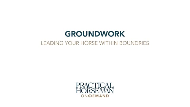 Groundwork - Leading the Horse Within...