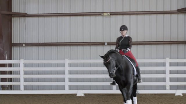 Managing a Sensitive Horse Part 1