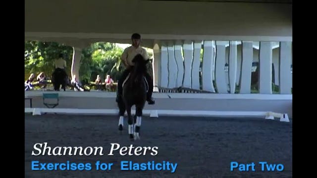 Exercises for Elasticity with Shannon...