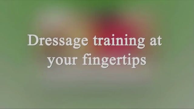 Responsiveness | Dr. Ulf Moller | PAR...