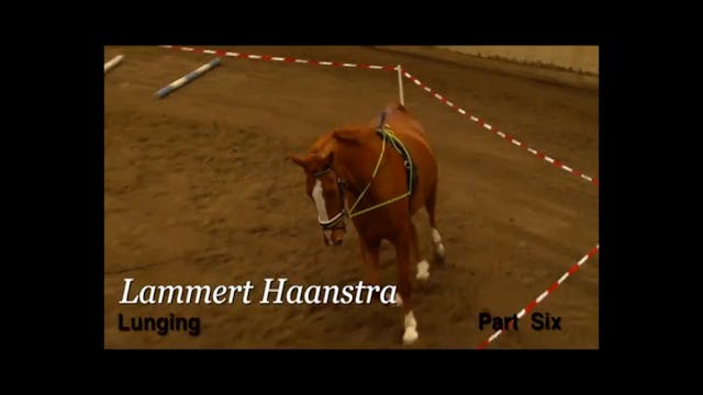 Basic Training in Lunging | Lammert H...