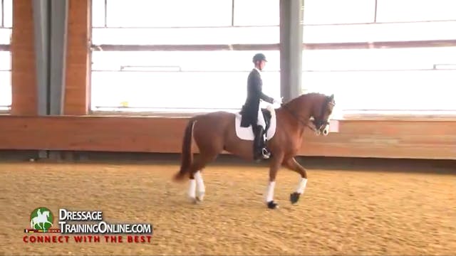 Intermediate 1 - Canter Zig Zag | Jan...