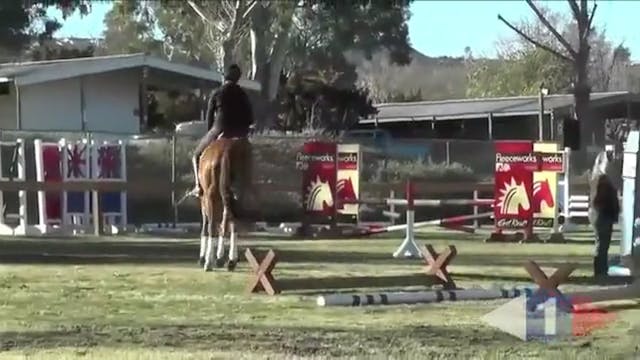 Galloping Gears For Cross Country | D...