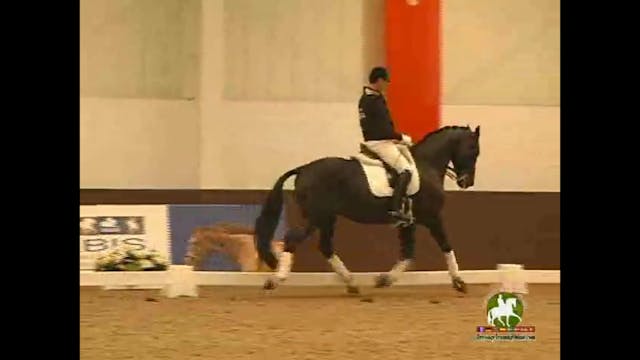 Young Horse Warm-Up with Jean Bemelma...