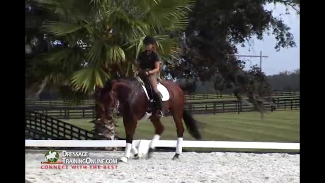 Canter Exercises for the Young Horse ...