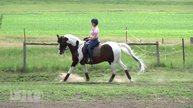 Senior PSG Arabian Cross | Mimi Stanl...