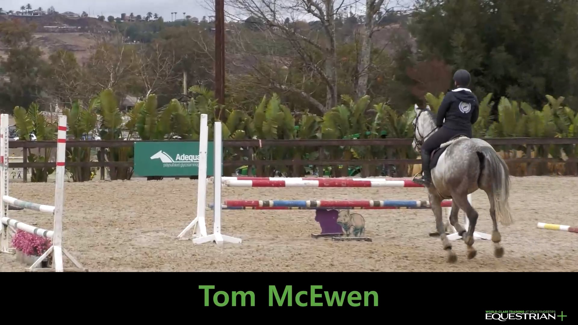 Straightness Over Simulated Cross-Country Jumps | Novice/Training | Tom McEwen