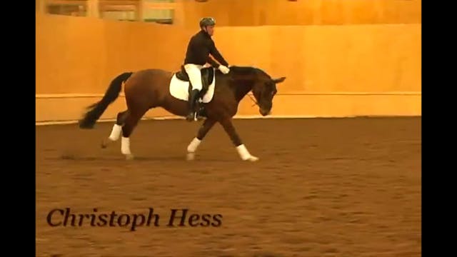 Five Year Old: Suppleness, Stretch | ...