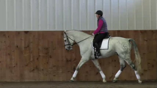 FarmVet/USDF Complete Adult Clinic, f...