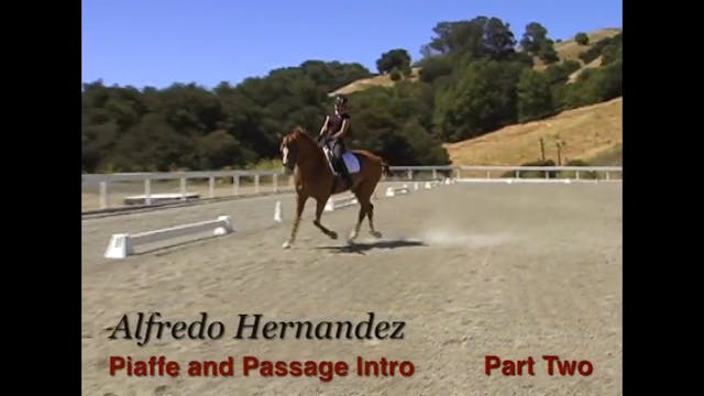 Piaffe and Passage Intro with Alfredo...