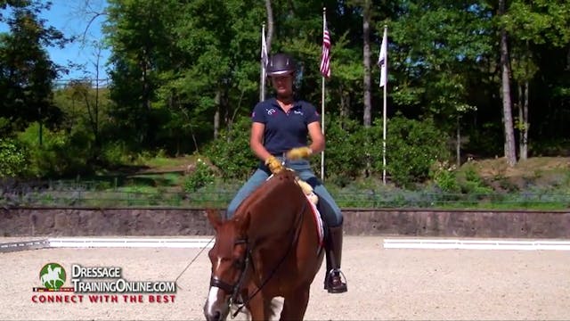 Snaffle vs Curb by Catherine Haddad