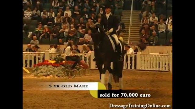 2008 121st Elite Hanoverian Auction, ...