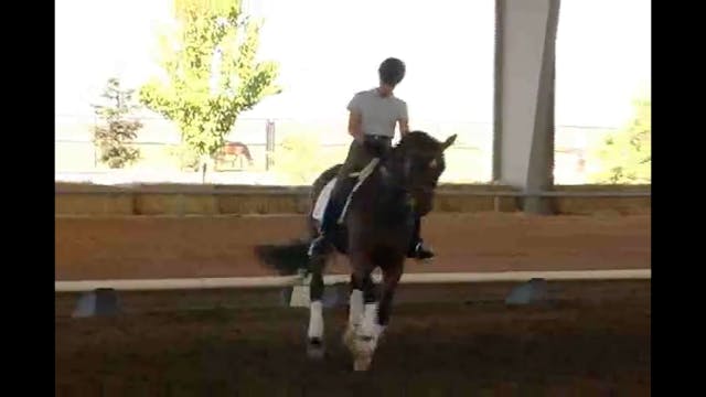 Rhythm in the Passage | Jan Bemelmans...