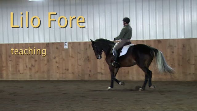 Young Dressage Horse, Training Level ...