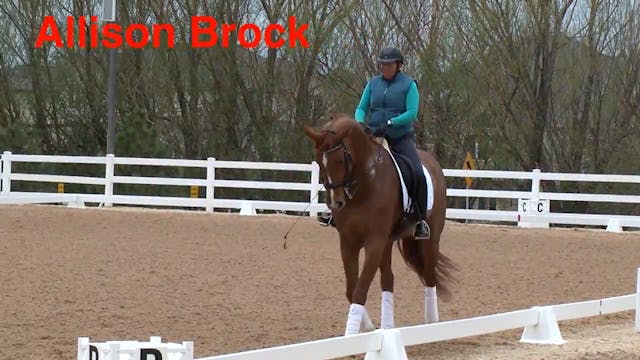 Swing - Canter | Allison Brock | PART 03