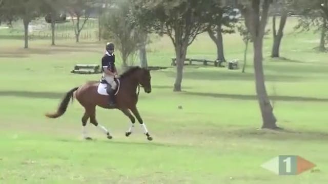 Early Training Of OTTB | Robin Walker...