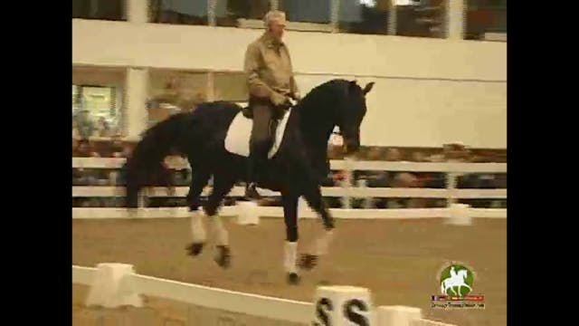 His Journey in Dressage