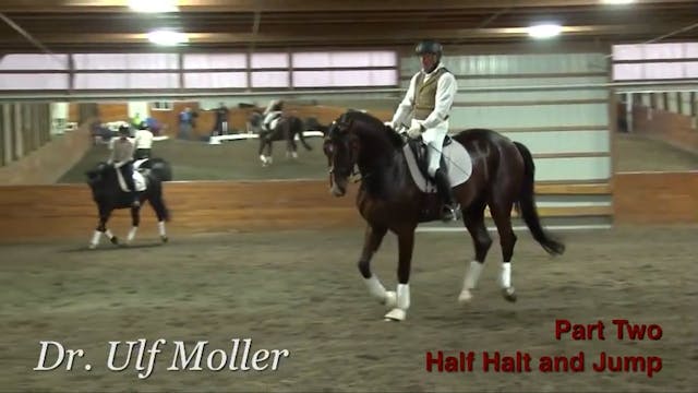  First Level Canter, Half Halt & Jump...