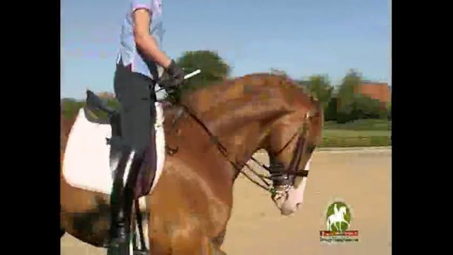 WEG 2010 Reserve Pair, Grand Prix/S L...