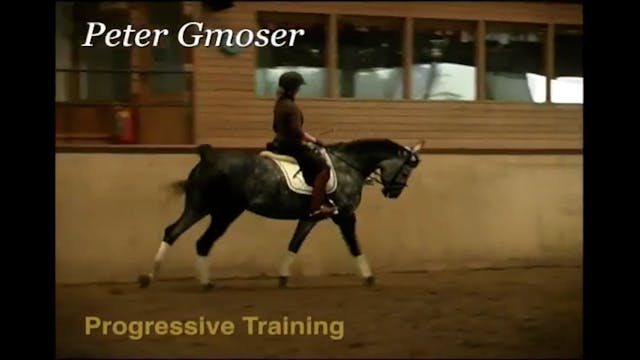 Progressive Training | Peter Gmoser |...