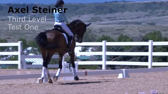 Third Level Test 1 | Axel Steiner | I...