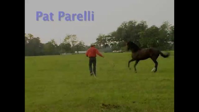 Working with a New Horse | Pat Parell...