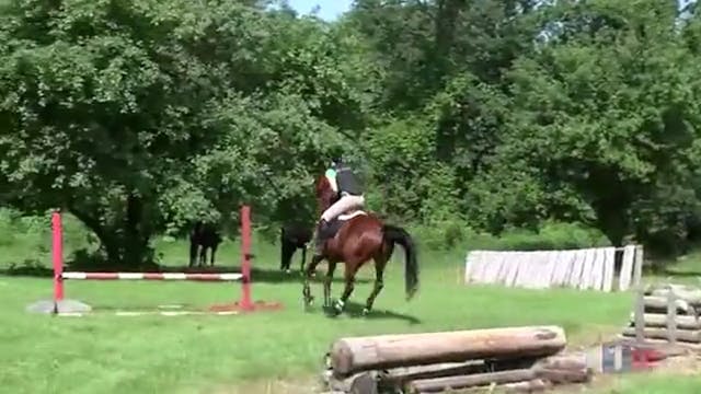 Novice Galloping Ditches - Part 5