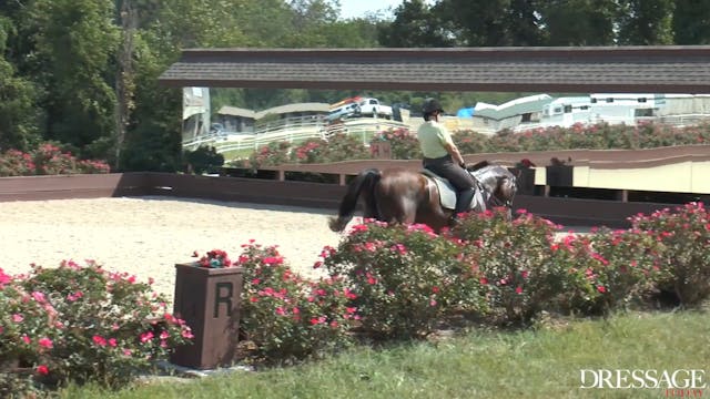 Practice Dressage Tests Group 1