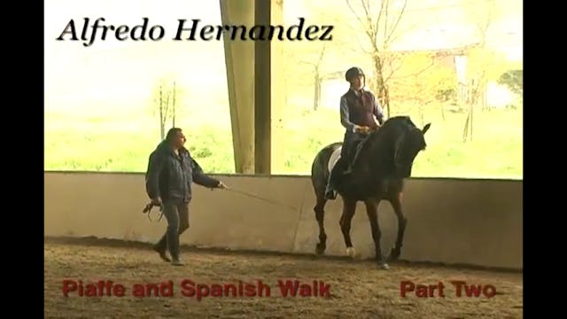 Piaffe and Spanish Walk Training | Al...