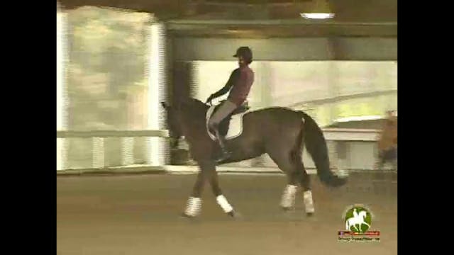 Position Work, Counter Canter, Change...