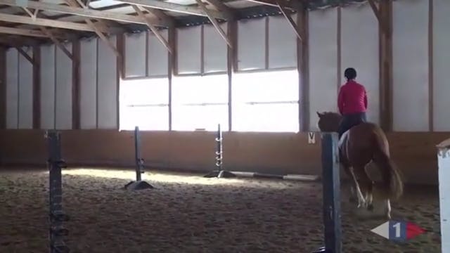 Thoughtful Riding, Flatwork & Grids |...