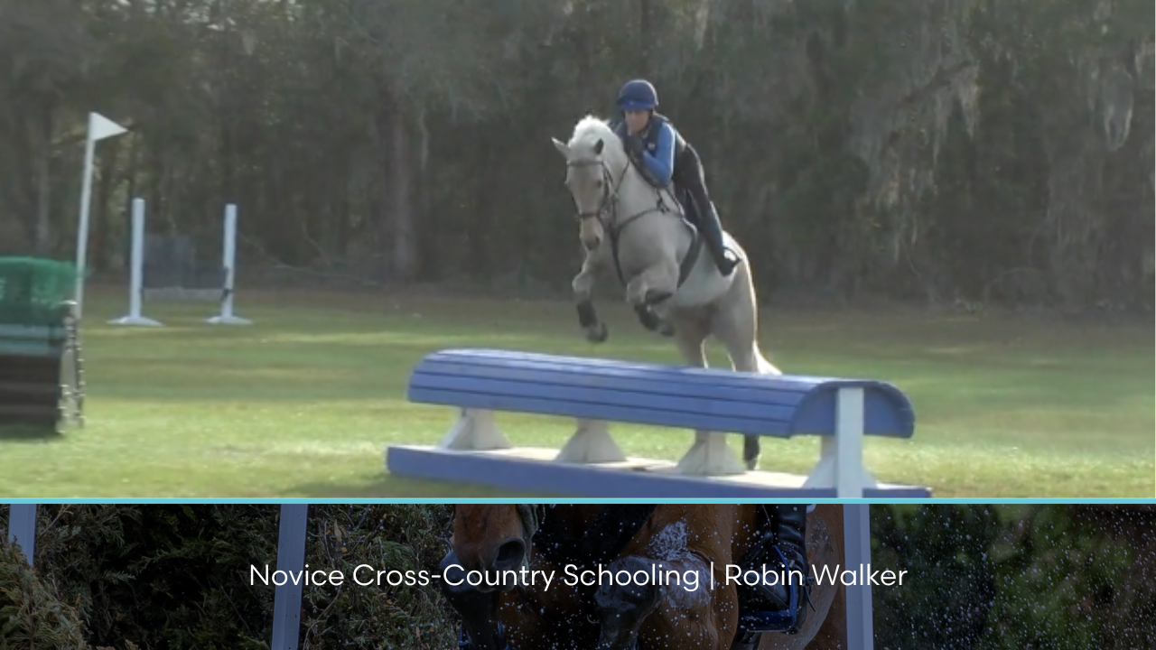 Novice Cross-Country Schooling | Robin Walker