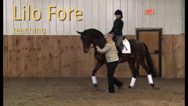 Creating contact with the experienced...